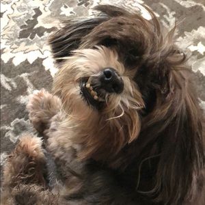 Meet your Posher, Steven